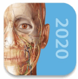 2020人体解剖学图谱 2020.0.73
